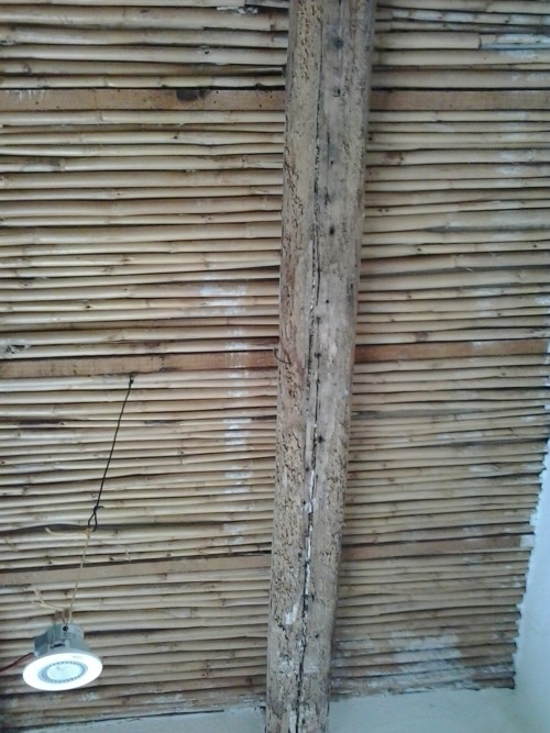 infested wood roof algarve alentejo