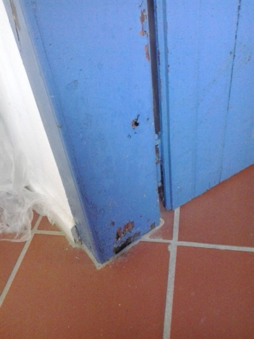wood pest damage at a door frame